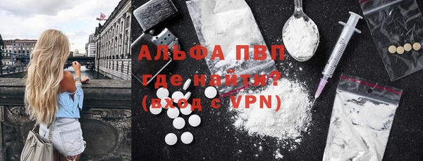 дмт Протвино