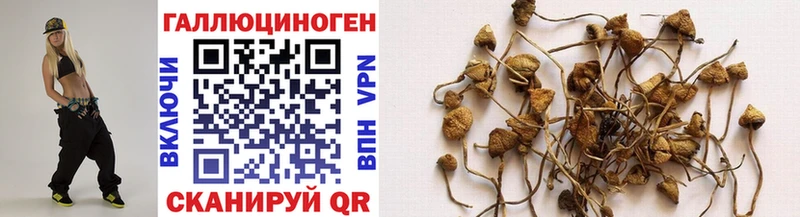 Галлюциногенные грибы Cubensis  гидра ONION  Азнакаево  как найти  